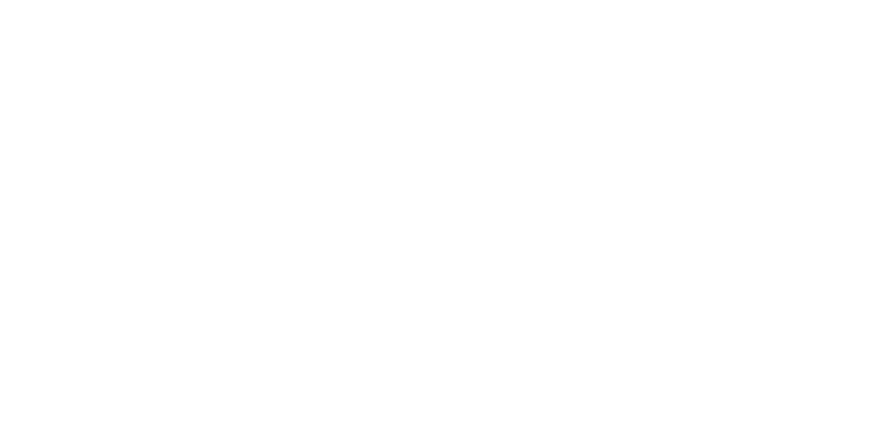 Scandinavian Airlines Logo