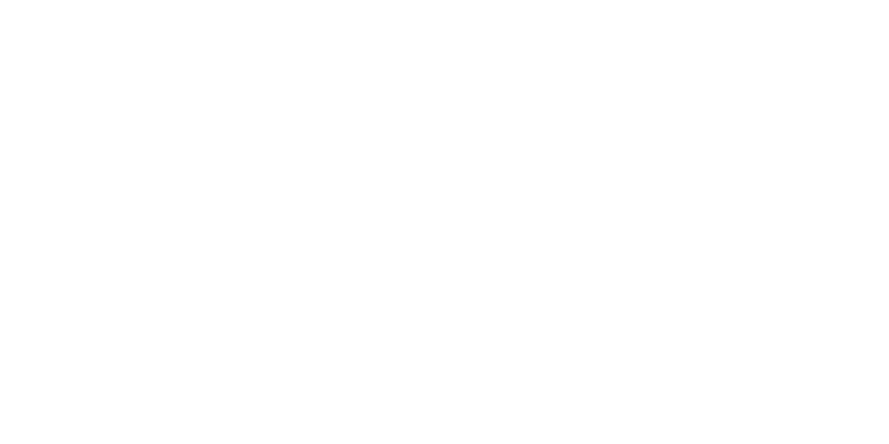 BMW Logo