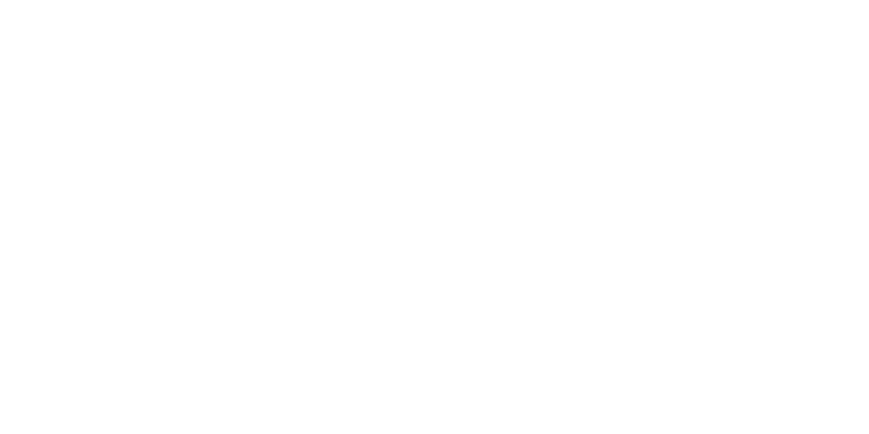 Porche Logo