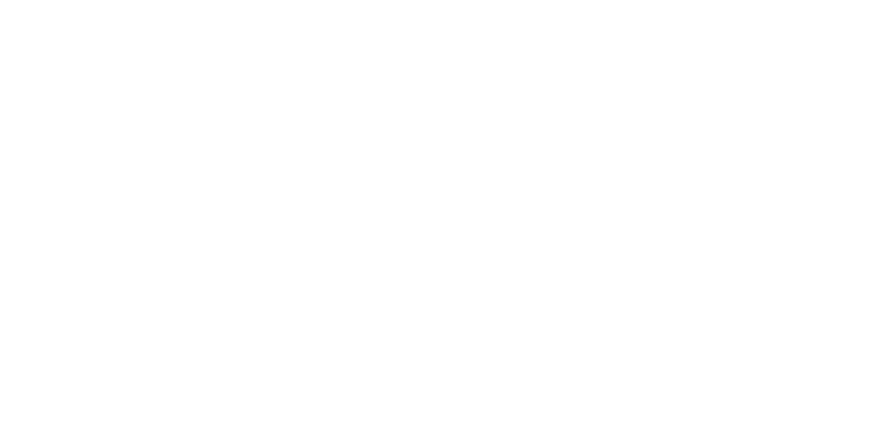 Canadian Tire Logo
